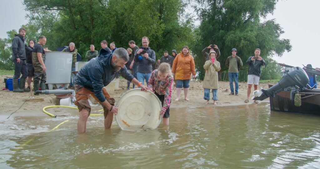 Steurenuitzet Woudrichem