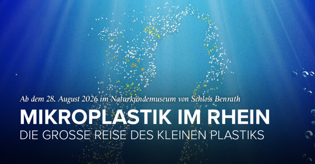 Microplastic in de Rijn