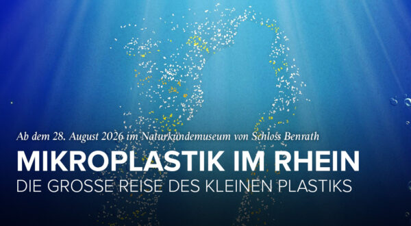 Microplastic in de Rijn
